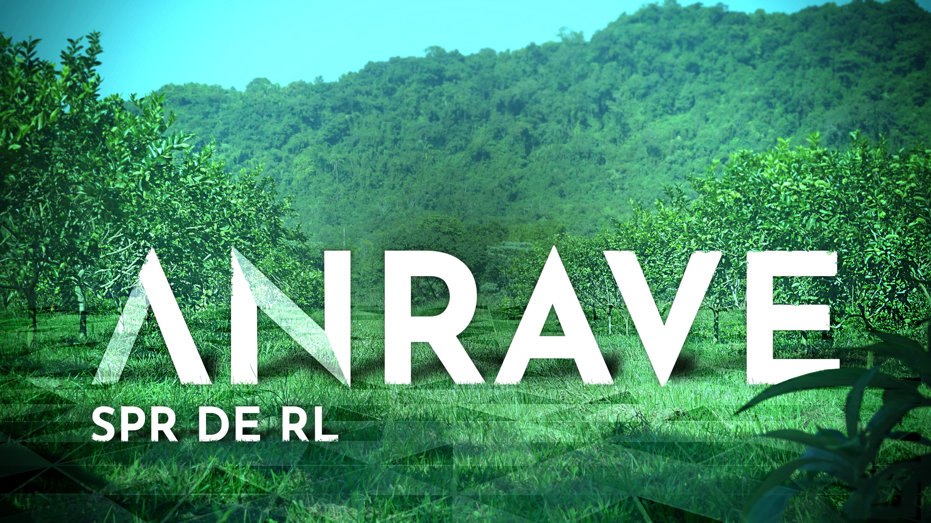 ANRAVE PORTADA-4-1