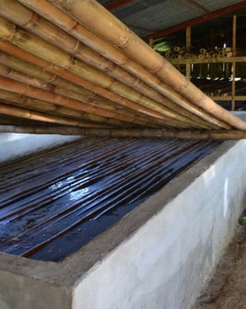 bambu-preservacion-escurrido-las-canadas bambu-preservacion-escurrido-las-canadas